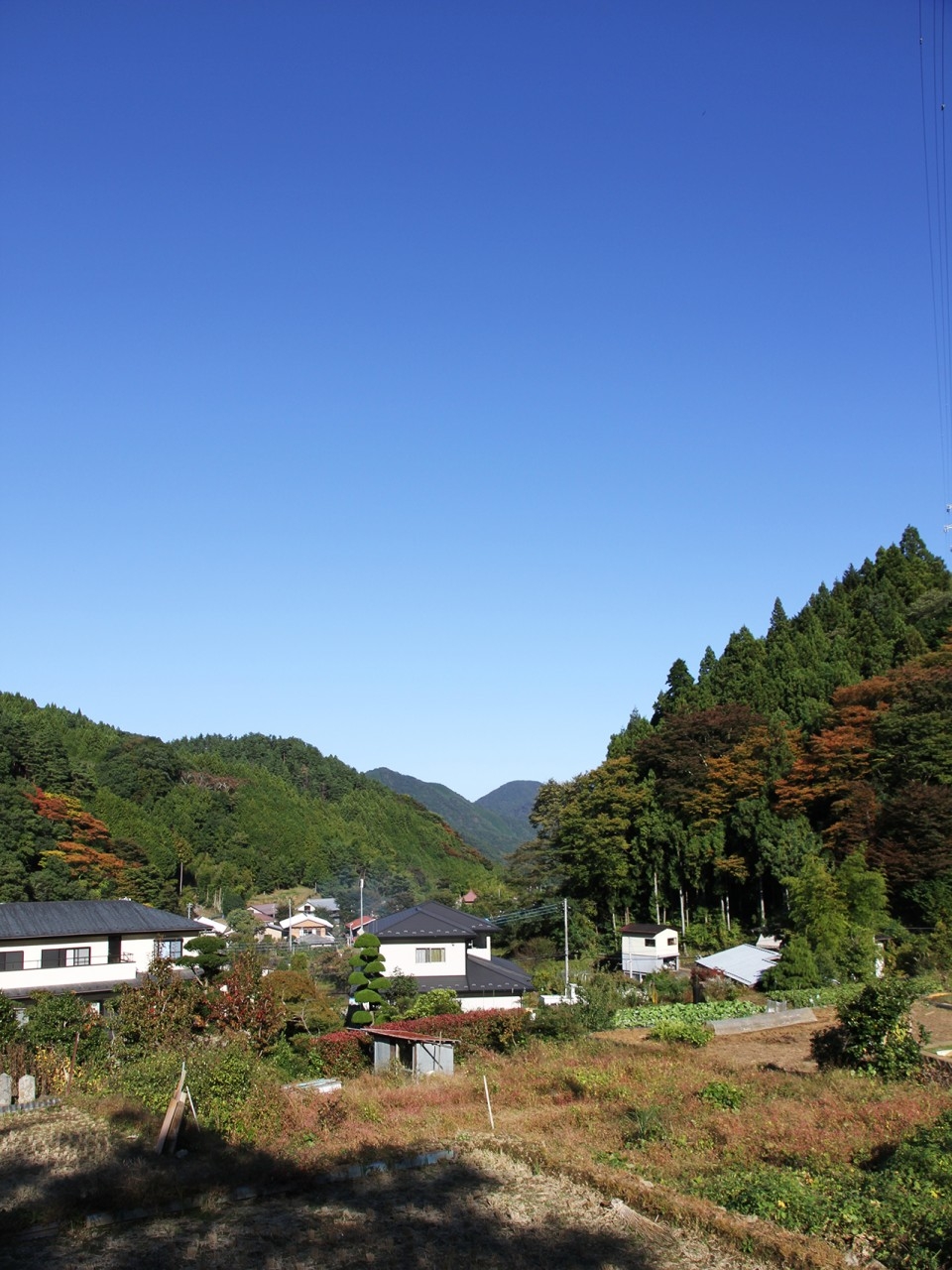 無生野 山梨デザインアーカイブ